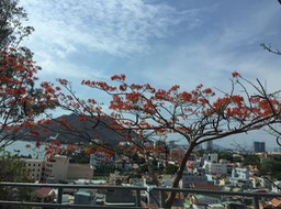 IMG_9649