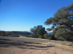DSCN2810