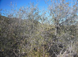 DSCN2819
