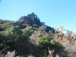 DSCN2846