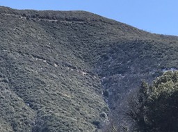 Bates Cyn_13