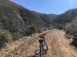 Bates Cyn_15