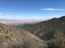 Bates Cyn_19