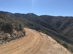 Bates Cyn_22