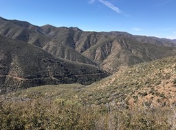Bates Cyn_23