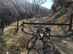 Bates Cyn_5