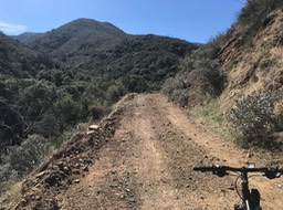 Bates Cyn_7