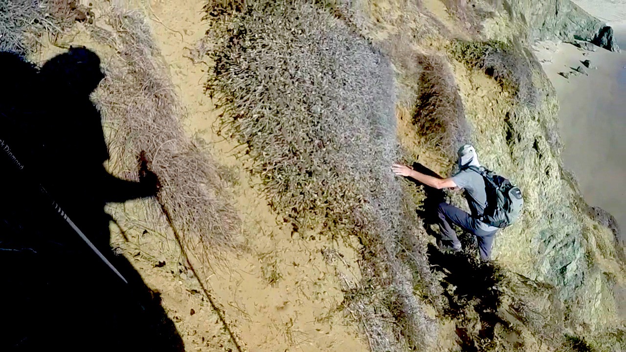 Dave down