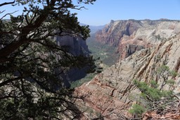 IMG_0900