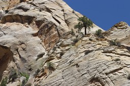 IMG_0923