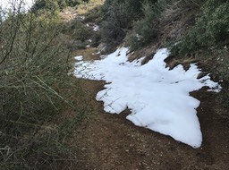 IMG_0965