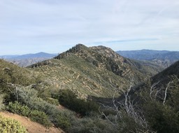 IMG_0966
