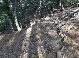 IMG_0974