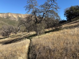 IMG_1020