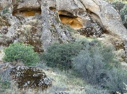 IMG_1031