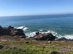 IMG_2574