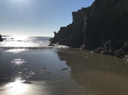 IMG_2627