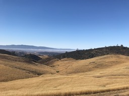 IMG_6171