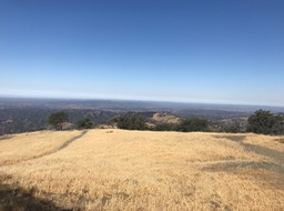 IMG_6193
