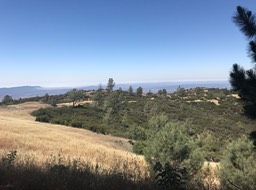 IMG_6220