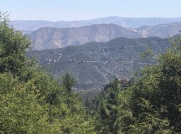 IMG_6236