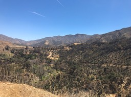 IMG_6507