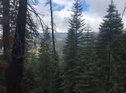 IMG_6748