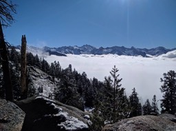 IMG_6810