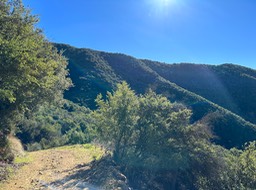 IMG_8750