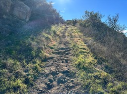IMG_8763