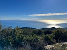 IMG_8768