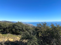 IMG_8770