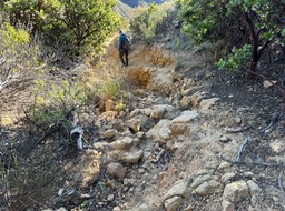IMG_8785