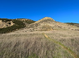 IMG_8788