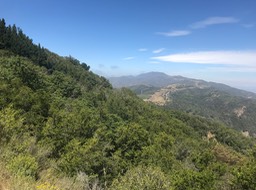 IMG_8849