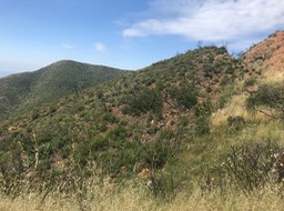 IMG_8896