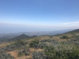 IMG_8947
